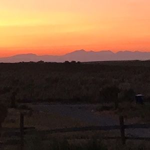 Meet your Posher, Katy